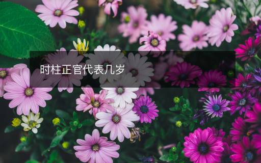 時柱正官代表幾歲