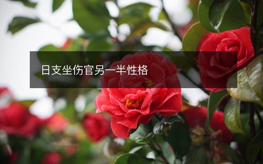 日支坐傷官另一半性格