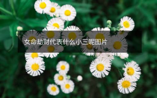女命劫財(cái)代表什么小三呢圖片