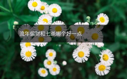 流年偏財和七殺哪個好一點