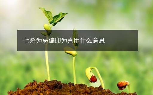七殺為忌偏印為喜用什么意思