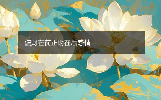 偏財(cái)在前正財(cái)在后感情