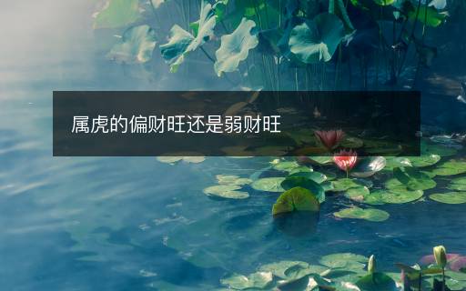 屬虎的偏財(cái)旺還是弱財(cái)旺