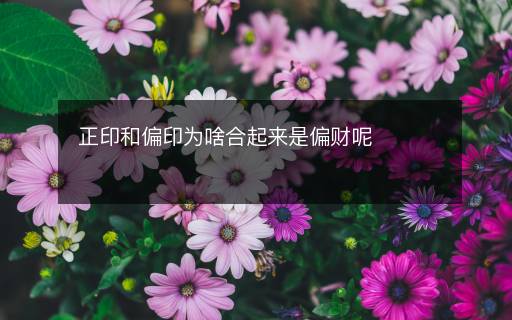 正印和偏印為啥合起來是偏財呢