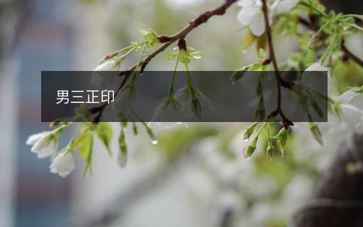 男三正印