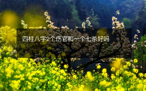 四柱八字2個傷官和一個七殺好嗎