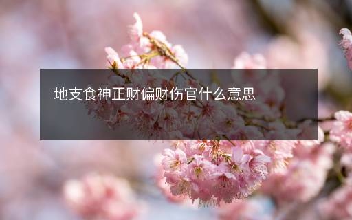 地支食神正財偏財傷官什么意思