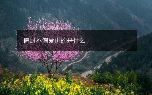偏財(cái)不偏愛講的是什么