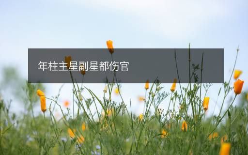 年柱主星副星都傷官
