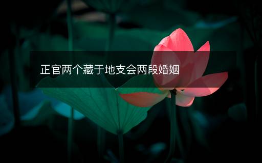 正官兩個(gè)藏于地支會(huì)兩段婚姻