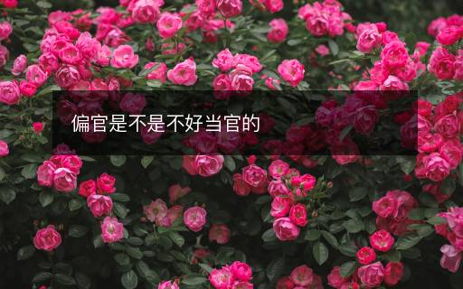 偏官是不是不好當(dāng)官的