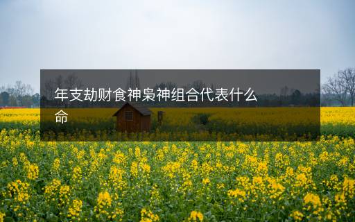 年支劫財(cái)食神梟神組合代表什么命