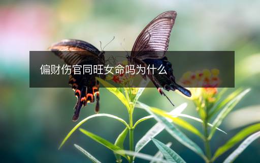 偏財(cái)傷官同旺女命嗎為什么