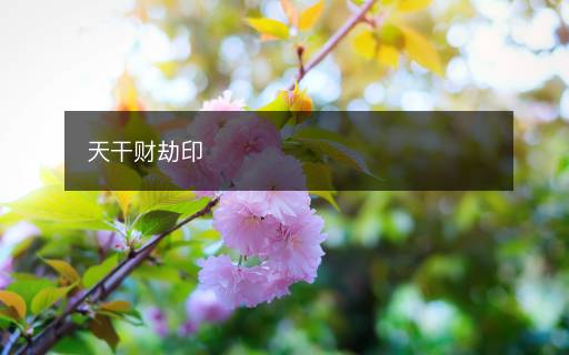 天干財(cái)劫印