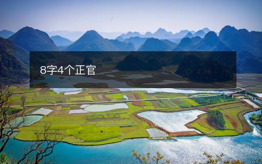 8字4個(gè)正官