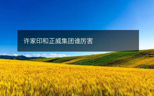 許家印和正威集團(tuán)誰厲害