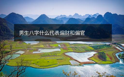 男生八字什么代表偏財和偏官
