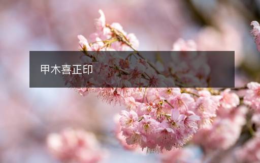 甲木喜正印