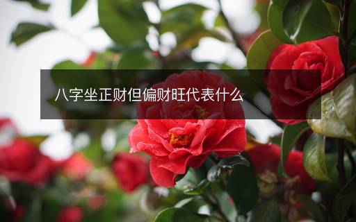 八字坐正財(cái)?shù)?cái)旺代表什么