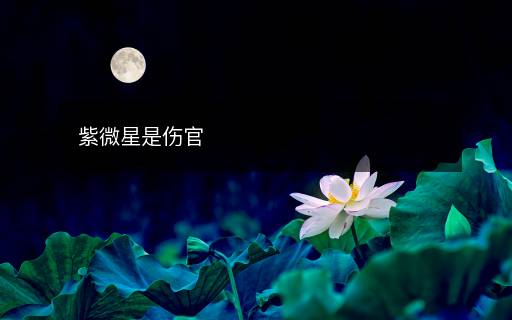 紫微星是傷官