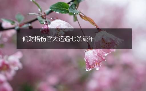 偏財(cái)格傷官大運(yùn)遇七殺流年