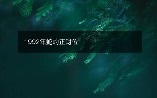 1992年蛇的正財(cái)位