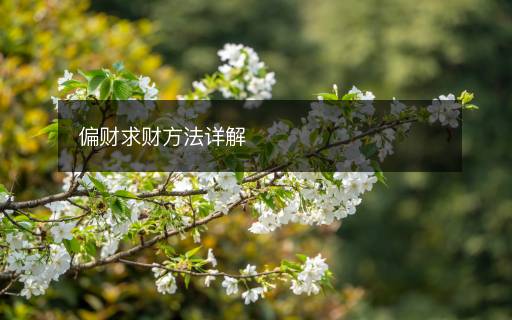 偏財求財方法詳解