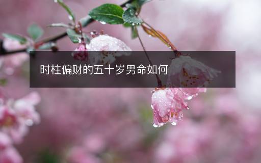 時(shí)柱偏財(cái)?shù)奈迨畾q男命如何