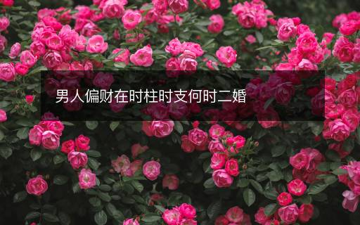男人偏財在時柱時支何時二婚