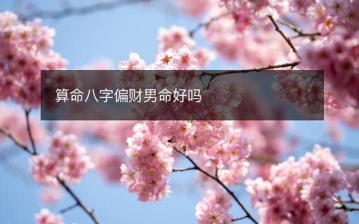 算命八字偏財(cái)男命好嗎