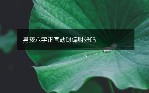 男孩八字正官劫財(cái)偏財(cái)好嗎