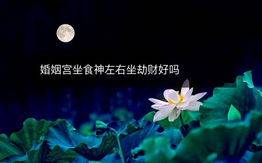 婚姻宮坐食神左右坐劫財(cái)好嗎