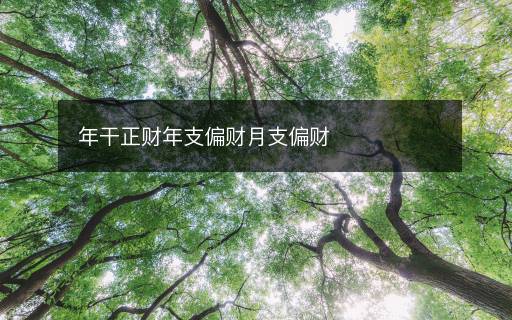 年干正財年支偏財月支偏財