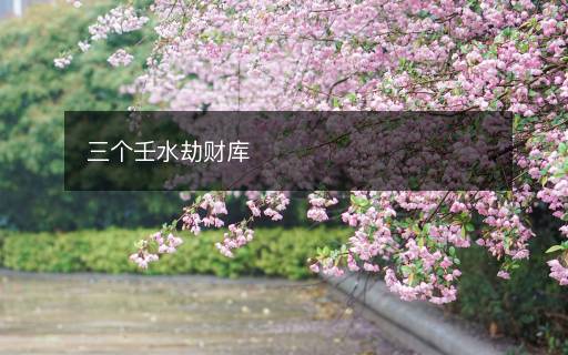 三個(gè)壬水劫財(cái)庫(kù)