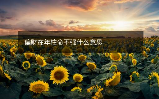偏財(cái)在年柱命不強(qiáng)什么意思