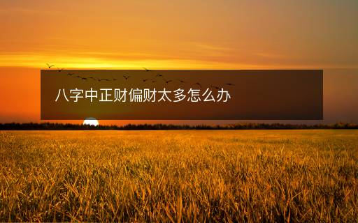 八字中正財偏財太多怎么辦