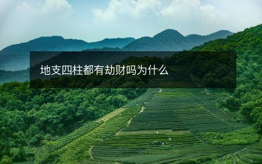 地支四柱都有劫財嗎為什么