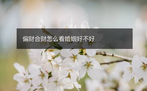 偏財(cái)合財(cái)怎么看婚姻好不好