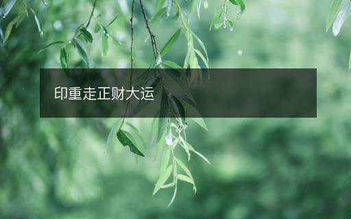 印重走正財大運