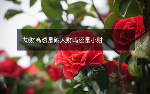 劫財高透是破大財嗎還是小財