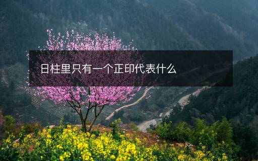 日柱里只有一個正印代表什么