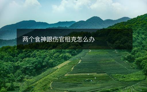 兩個(gè)食神跟傷官相克怎么辦