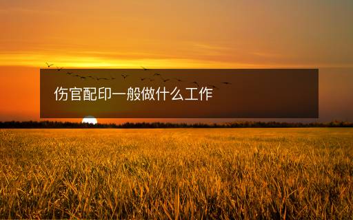 傷官配印一般做什么工作