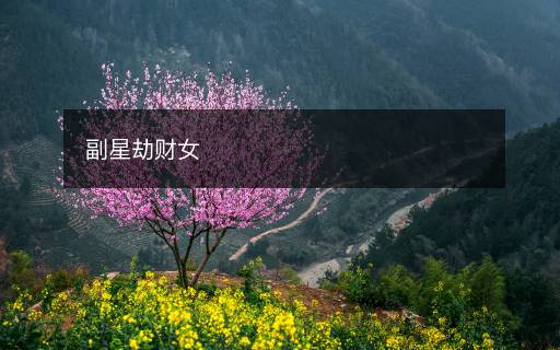 副星劫財女