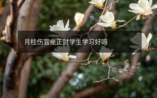 月柱傷官坐正財學(xué)生學(xué)習(xí)好嗎