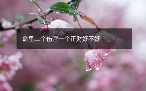 命里二個傷官一個正財好不好