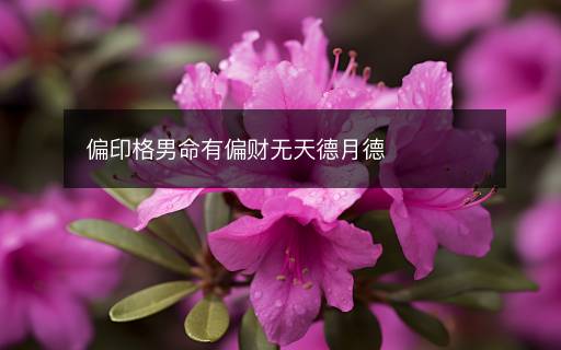 偏印格男命有偏財無天德月德