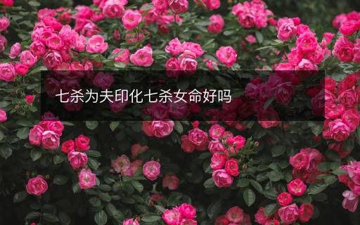 七殺為夫印化七殺女命好嗎