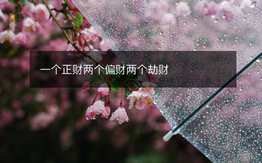 一個正財兩個偏財兩個劫財