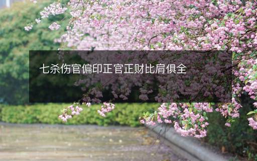 七殺傷官偏印正官正財比肩俱全